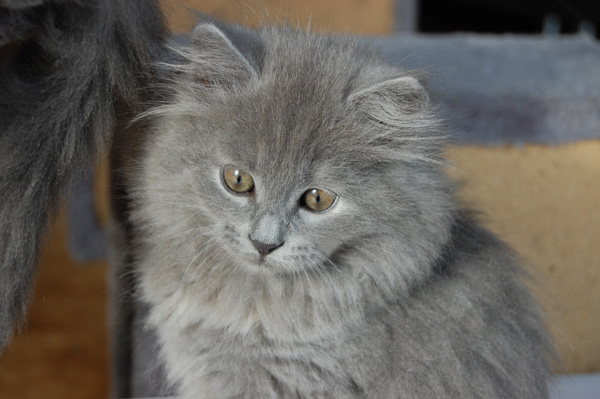 schon eine kleine Dame.jpg